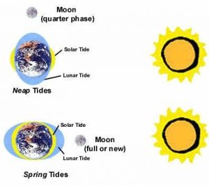 01-wave power based on sun and moon movement