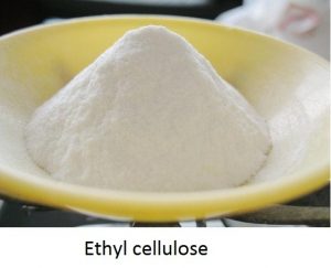 01 - thermoplastic - Ethyl cellulose