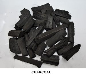 01-TYPES-OF-FUEL-CHARCOAL.jpg