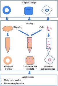 3D-bioprintng-medical-devices-3D-Bioprinting-Organs