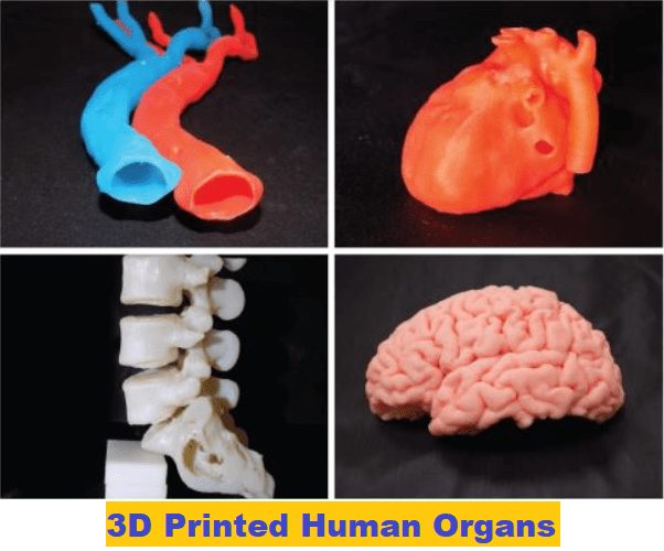 3D-Printed-Human-Organs-3D-Printed-Organs-3D-Printing-Body-Parts