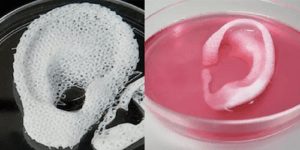 3D-printed-organs-3d-printing-medical-breakthrough