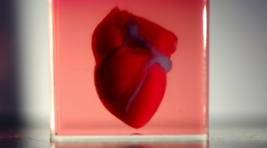 3D-Printed-Heart-Valve-3D-Printed-Silicone-Heart-3D-Printing-Hearts
