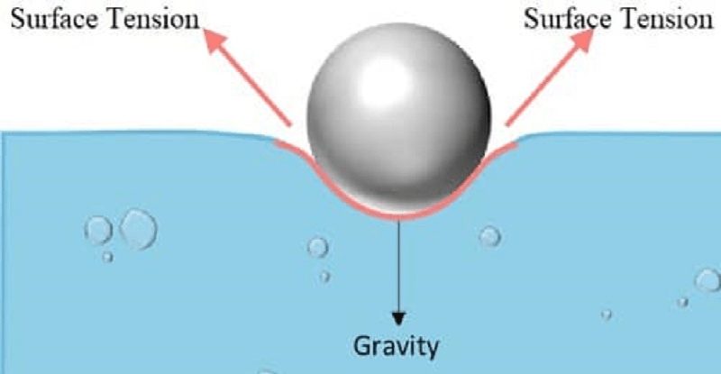 surface-tension-cohesion-force